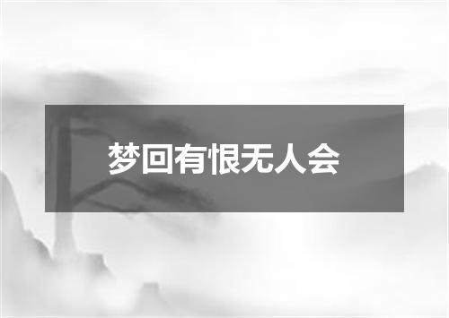 梦回有恨无人会