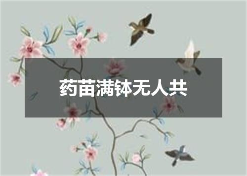 药苗满钵无人共