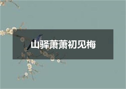 山驿萧萧初见梅