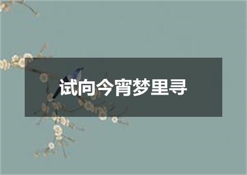 试向今宵梦里寻