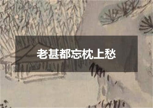 老甚都忘枕上愁