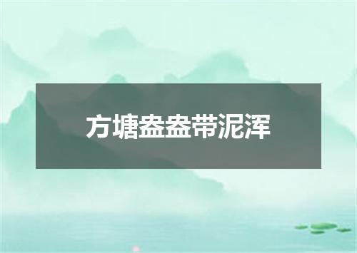 方塘盎盎带泥浑