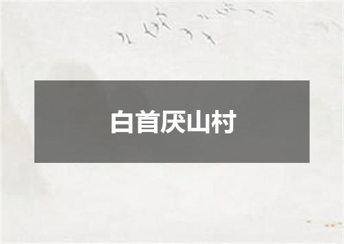 白首厌山村