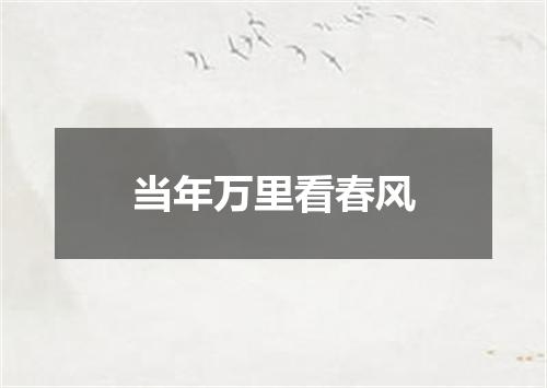 当年万里看春风