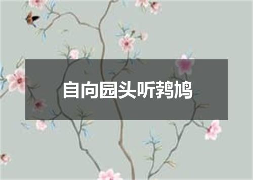 自向园头听鹁鸠