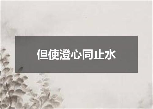 但使澄心同止水