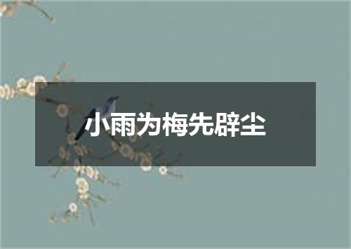 小雨为梅先辟尘