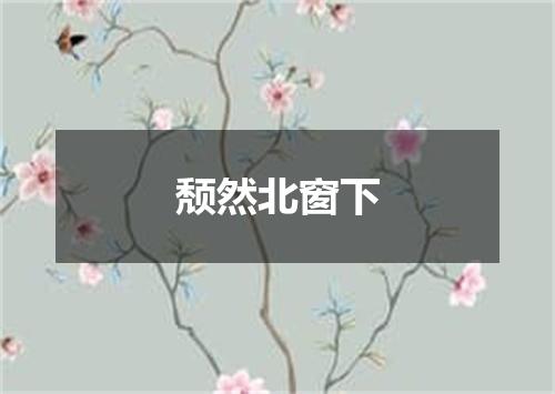 颓然北窗下