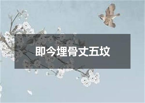 即今埋骨丈五坟
