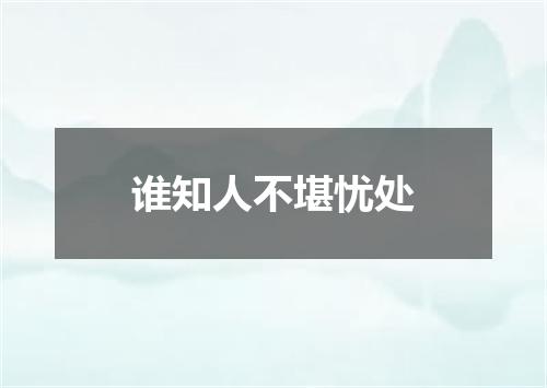 谁知人不堪忧处