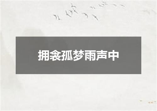 拥衾孤梦雨声中