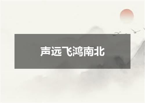 声远飞鸿南北