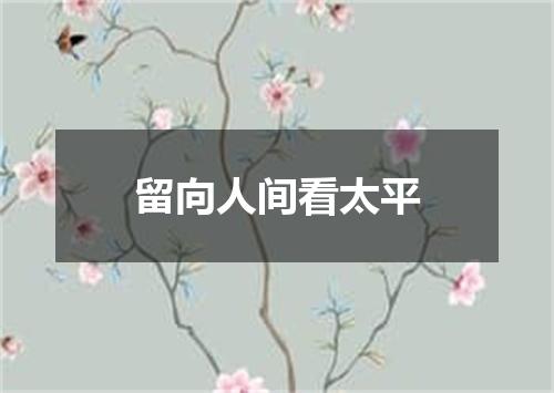 留向人间看太平