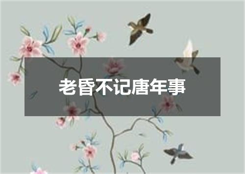 老昏不记唐年事