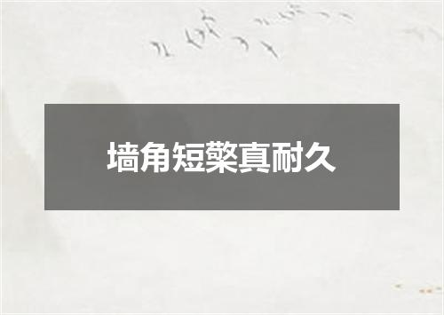 墙角短檠真耐久