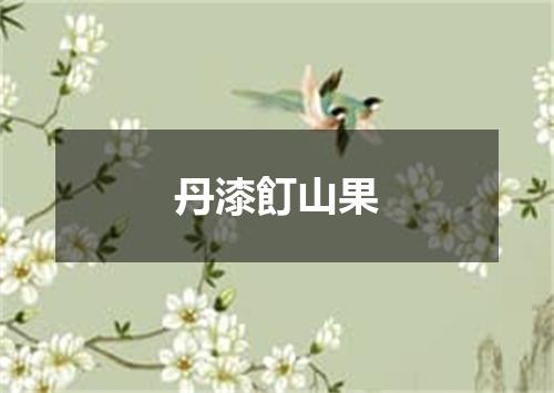 丹漆飣山果