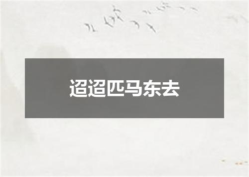 迢迢匹马东去