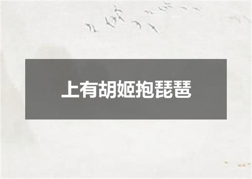 上有胡姬抱琵琶