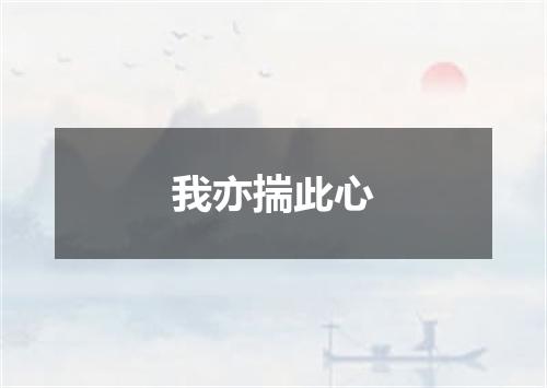 我亦揣此心