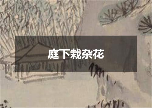 庭下栽杂花