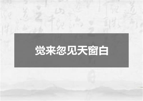 觉来忽见天窗白