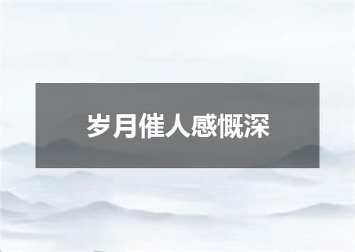 岁月催人感慨深