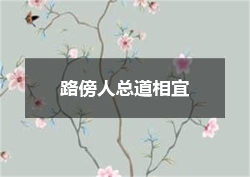 路傍人总道相宜