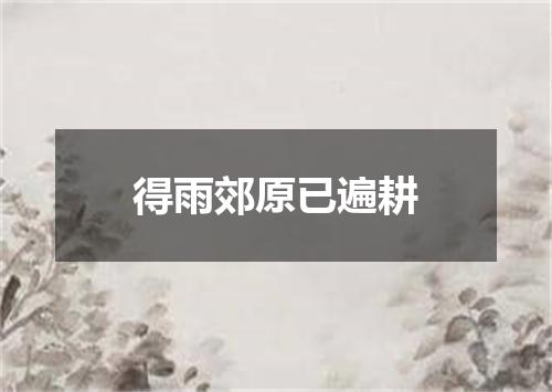 得雨郊原已遍耕