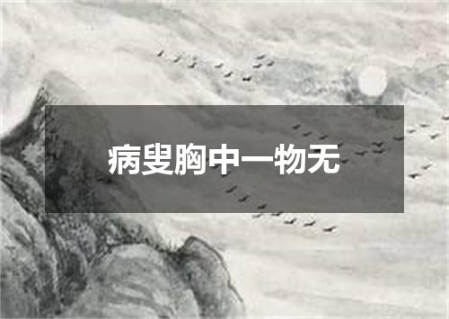 病叟胸中一物无