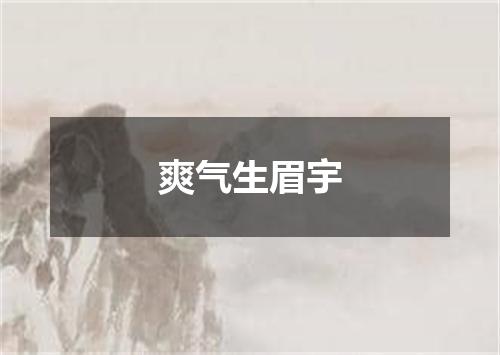 爽气生眉宇