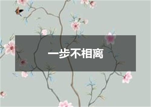 一步不相离