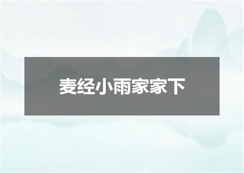 麦经小雨家家下