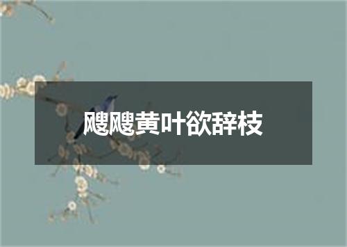 飕飕黄叶欲辞枝