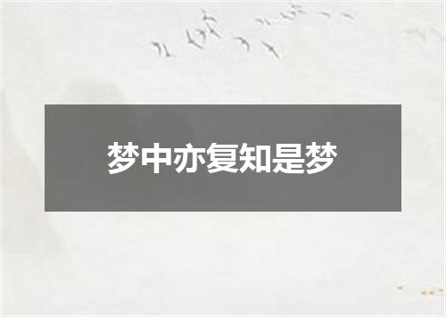 梦中亦复知是梦