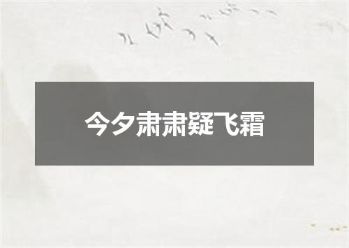 今夕肃肃疑飞霜