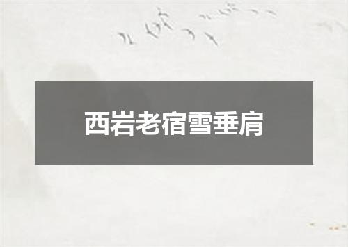 西岩老宿雪垂肩