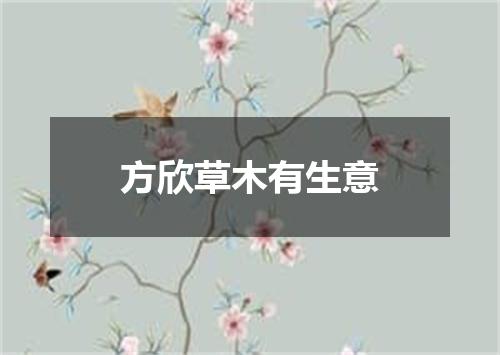 方欣草木有生意