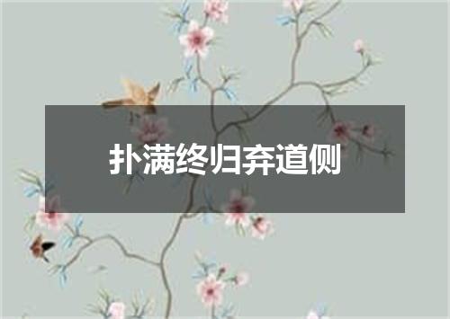 扑满终归弃道侧