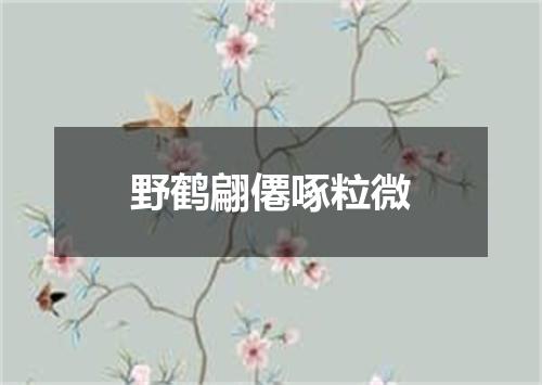 野鹤翩僊啄粒微