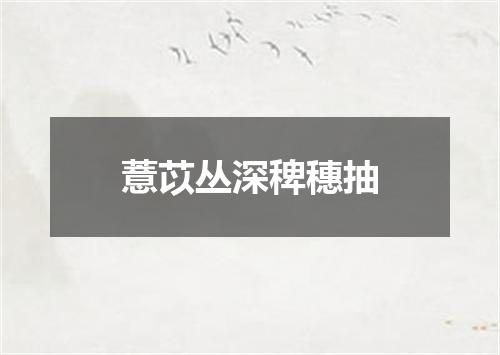 薏苡丛深稗穗抽