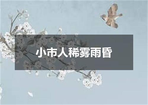 小市人稀雾雨昏