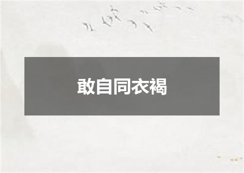 敢自同衣褐