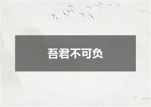 吾君不可负