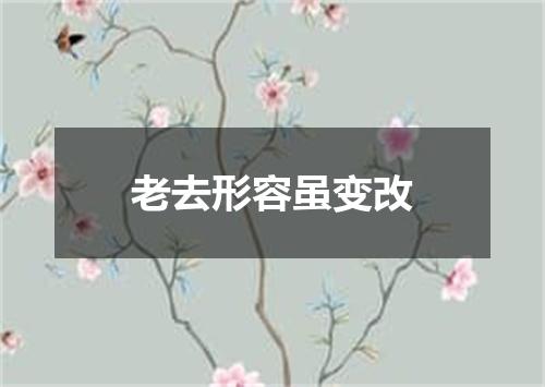 老去形容虽变改