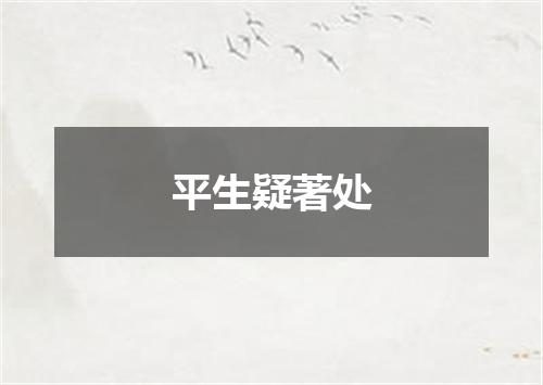 平生疑著处
