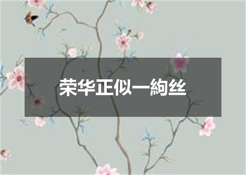 荣华正似一絇丝