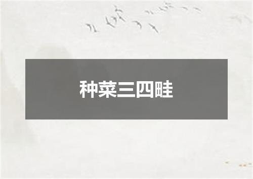 种菜三四畦