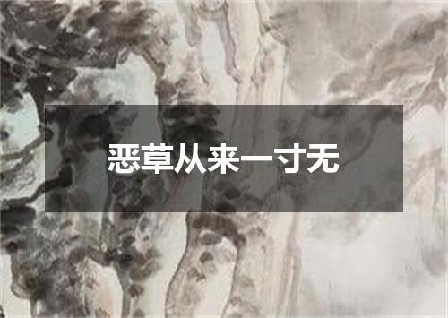 恶草从来一寸无