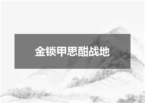 金锁甲思酣战地
