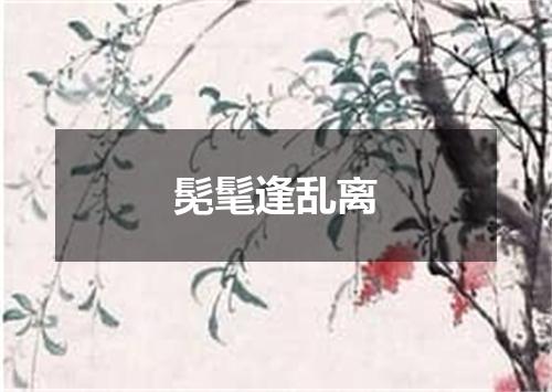 髧髦逢乱离